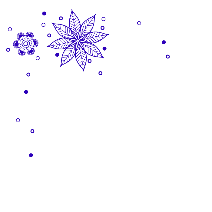 Diwali Decorations